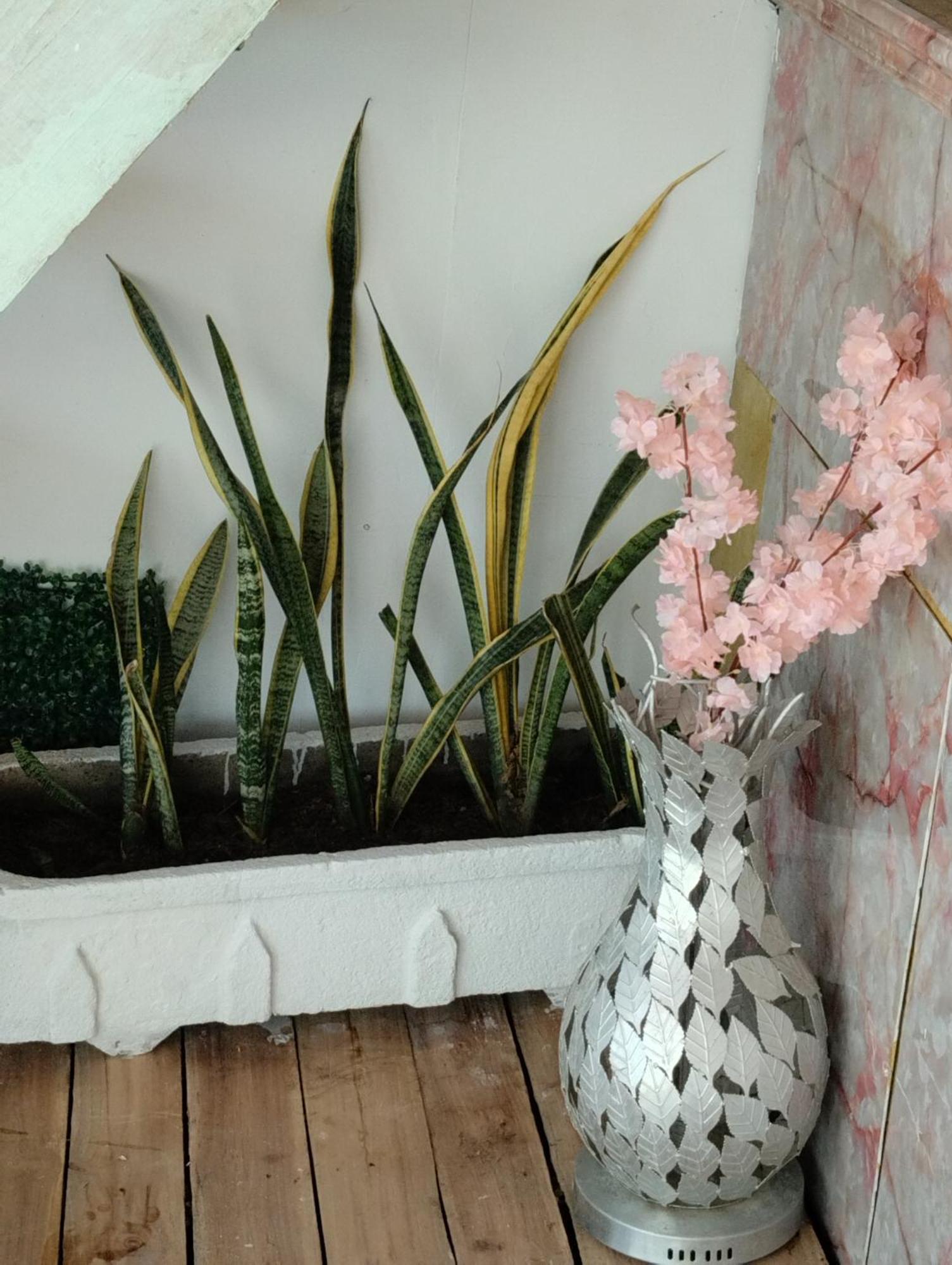 Hostal Lamar Baru Donde Gertrudis Playa Blanca Bagian luar foto