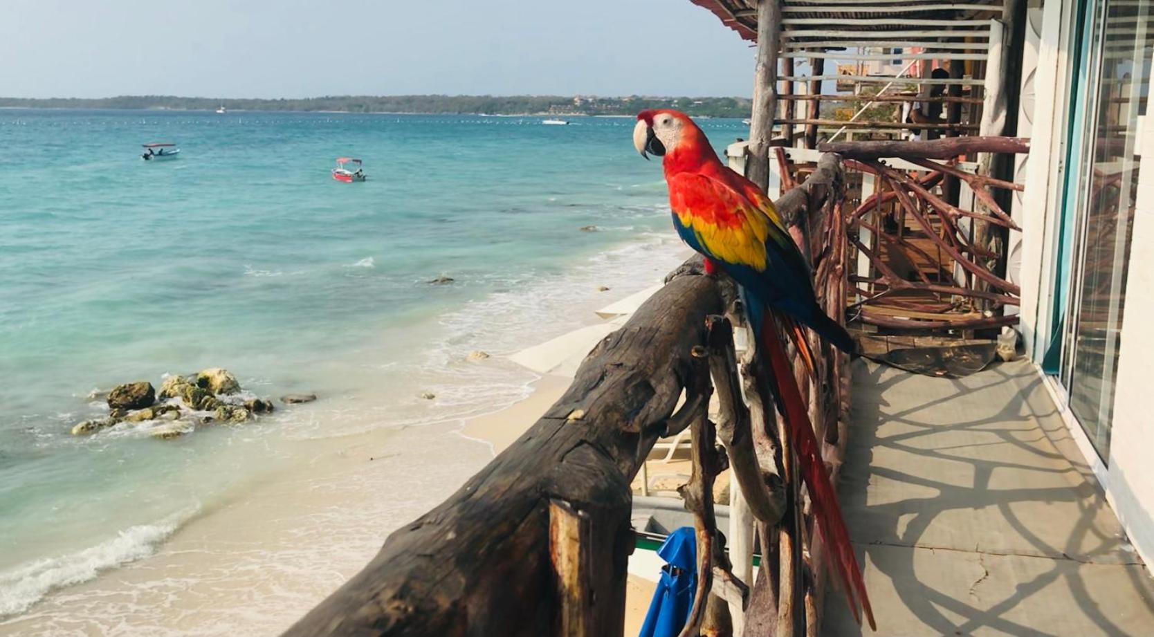Hostal Lamar Baru Donde Gertrudis Playa Blanca Bagian luar foto