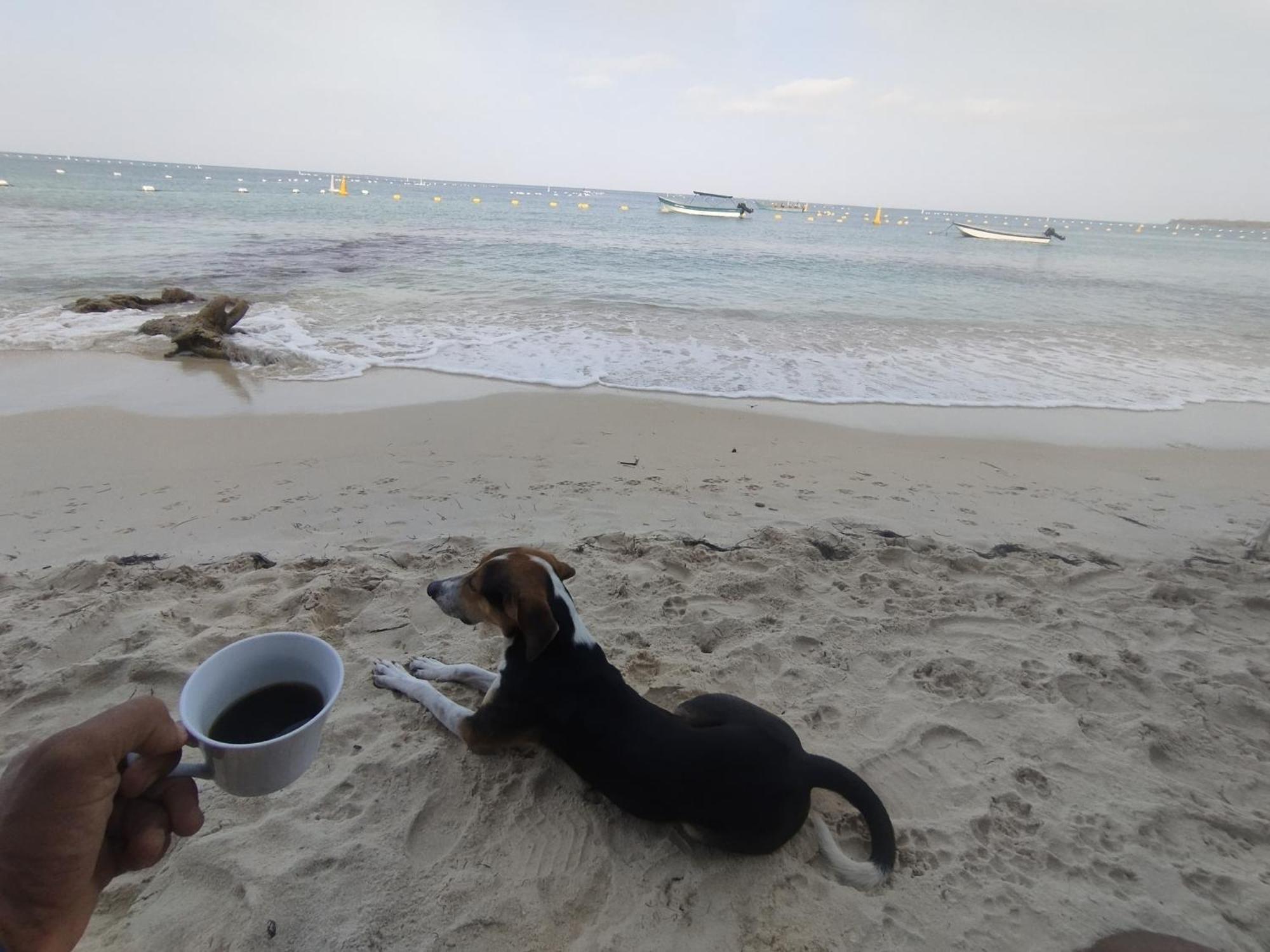 Hostal Lamar Baru Donde Gertrudis Playa Blanca Bagian luar foto